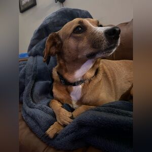 Meet your Posher, Alex